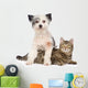 Dog and Cat Together. Isolated on White Background Wall Decal