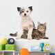 Dog and Cat Together. Isolated on White Background Wall Decal