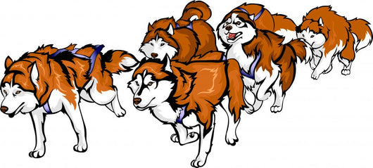 Red Husky Sled Wall Decal