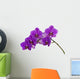 Dark purple orchid isolated on white background Wall Decal