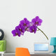 Dark purple orchid isolated on white background Wall Decal