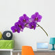 Dark purple orchid isolated on white background Wall Decal