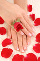 beautiful hands with french manicure Wall Mural