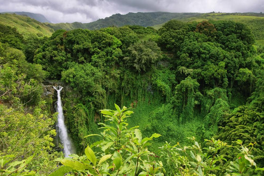 Makahiku falls in Waimoku falls trail 