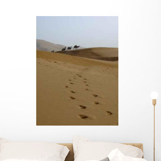 Dune4 Wall Decal