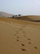 Dune4 Wall Decal