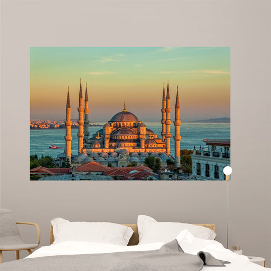 Blue mosque in Istanbul in sunset Wall Mural