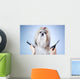 Shih tzu dog grooming 