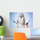 Shih tzu dog grooming 