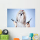 Shih tzu dog grooming 