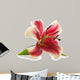 Pink lily isolated on white background.  Wall Decal