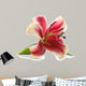 Pink lily isolated on white background.  Wall Decal
