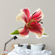 Pink lily isolated on white background.  Wall Decal