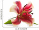 Pink lily isolated on white background.  Wall Decal