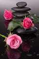 Spa stone and rose flowers still life. Healthcare concept. 
