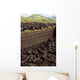 Bog Operation Connemara Wall Decal Design 2