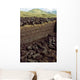Bog Operation Connemara Wall Decal Design 2