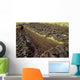 Bog Operation Connemara Wall Decal Design 1