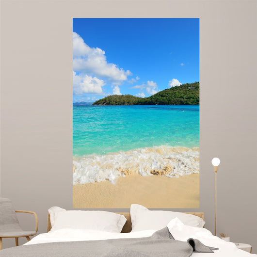 Virgin Islands Beach 