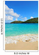 Virgin Islands Beach 