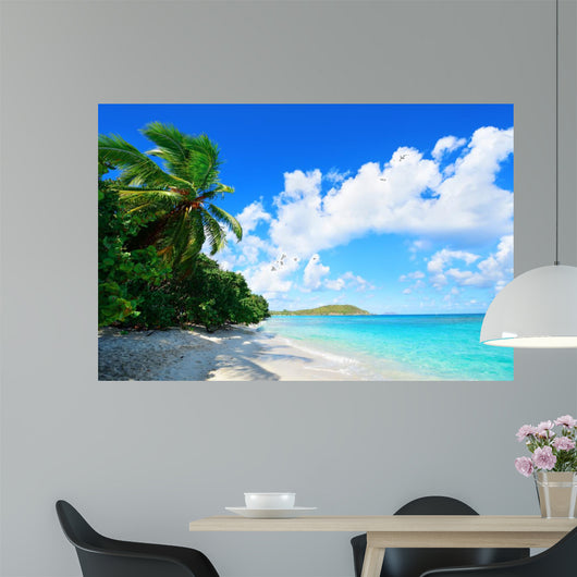 Virgin Islands Beach 