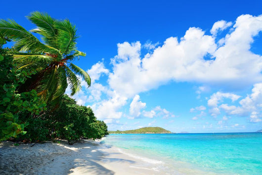 Virgin Islands Beach 
