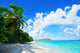 Virgin Islands Beach 