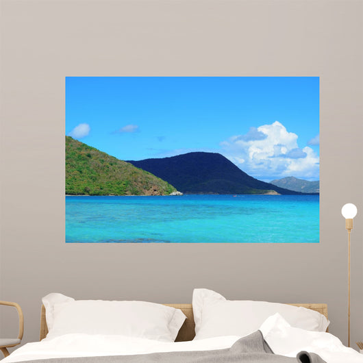 Virgin Islands Beach 