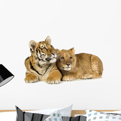 Lion Cub Wall Decal shown on a wall
