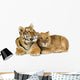 Lion Cub Wall Decal