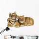 Lion Cub Wall Decal