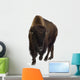 Bison Wall Decal