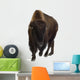 Bison Wall Decal