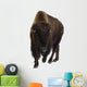 Bison Wall Decal