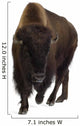 Bison Wall Decal