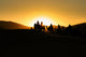Silhouettes of tourists riding camels on dunes Wall Mural