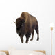 Bison Wall Decal