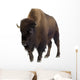 Bison Wall Decal