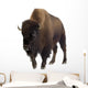 Bison Wall Decal