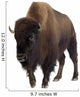 Bison Wall Decal