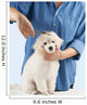 Poodle Grooming Salon for Wall Decal