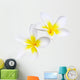 Glorious frangipani plumeria Wall Decal