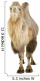 Dromedary Wall Decal