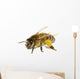 Bee on White Wall Decal