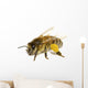 Bee on White Wall Decal
