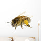Bee on White Wall Decal