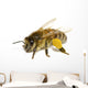 Bee on White Wall Decal