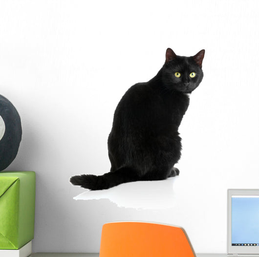 Black Cat Wall Decal