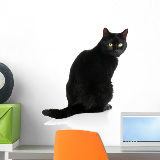 Black Cat Wall Decal