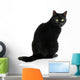 Black Cat Wall Decal